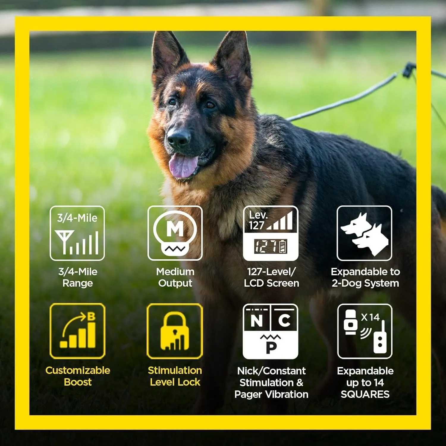 Dogtra ARC HANDSFREE Plus Boost and Lock, Remote Dog Training E-Collar, HANDSFREE Square for Discreet Control, Waterproof, Rechargeable, 3/4-Mile Range, 1 Dog Expandable System Medium, Large Dogs