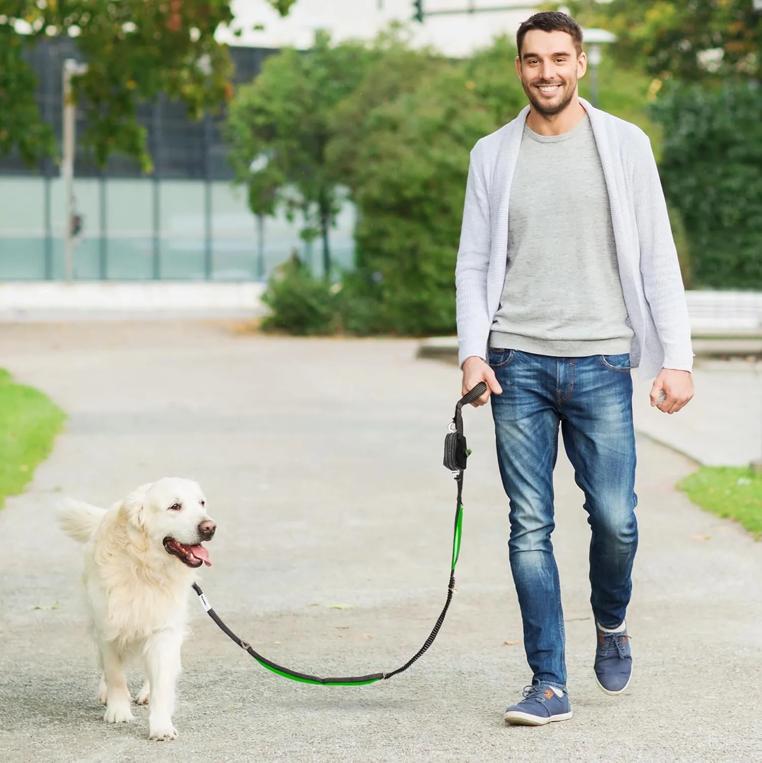 No Pull Dog Leash - Heavy Duty, Durable Bungee, 4 Padded Traffic Handles, Strong Carabiner Clips and Rings, Poop Bag Holder, Highly Reflective, 6 ft, Large Breeds by Leashrr 2.0 (Teal)