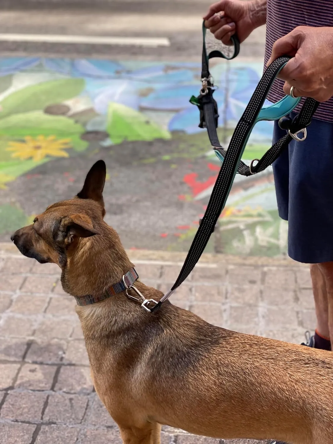 No Pull Dog Leash - Heavy Duty, Durable Bungee, 4 Padded Traffic Handles, Strong Carabiner Clips and Rings, Poop Bag Holder, Highly Reflective, 6 ft, Large Breeds by Leashrr 2.0 (Teal)