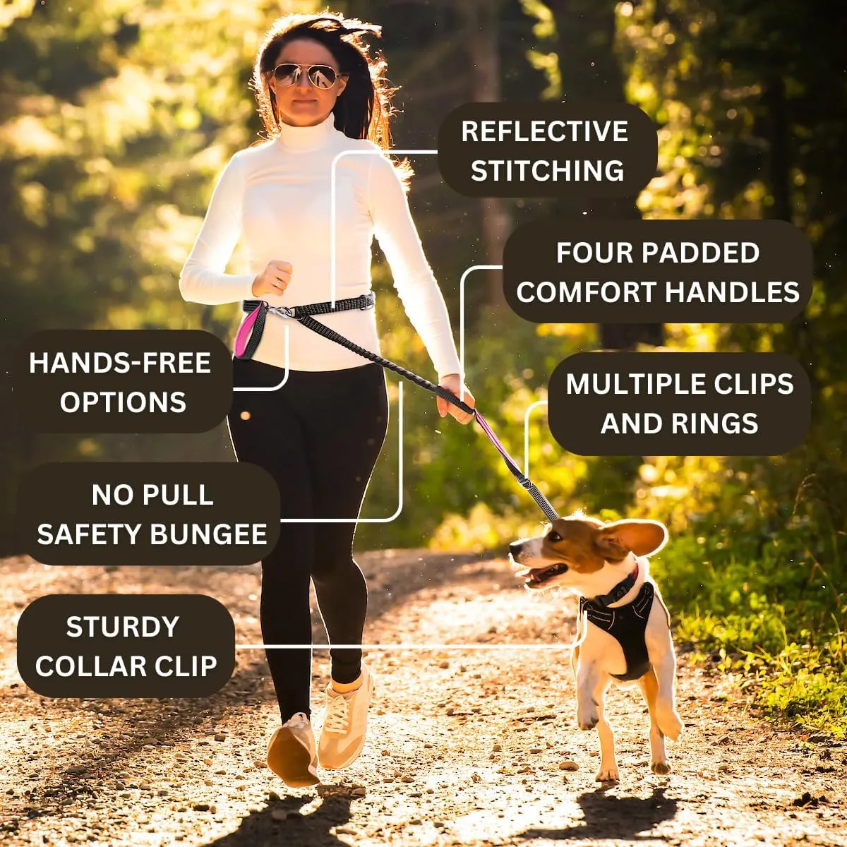 No Pull Dog Leash - Heavy Duty, Durable Bungee, 4 Padded Traffic Handles, Strong Carabiner Clips and Rings, Poop Bag Holder, Highly Reflective, 6 ft, Large Breeds by Leashrr 2.0 (Teal)